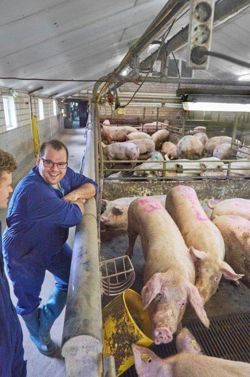 Danny van der Coelen is zeer tevreden over het effect van de nieuwe NOVA-lactovoeders: arbeidsgemak en meer biggen bij de zeug. 