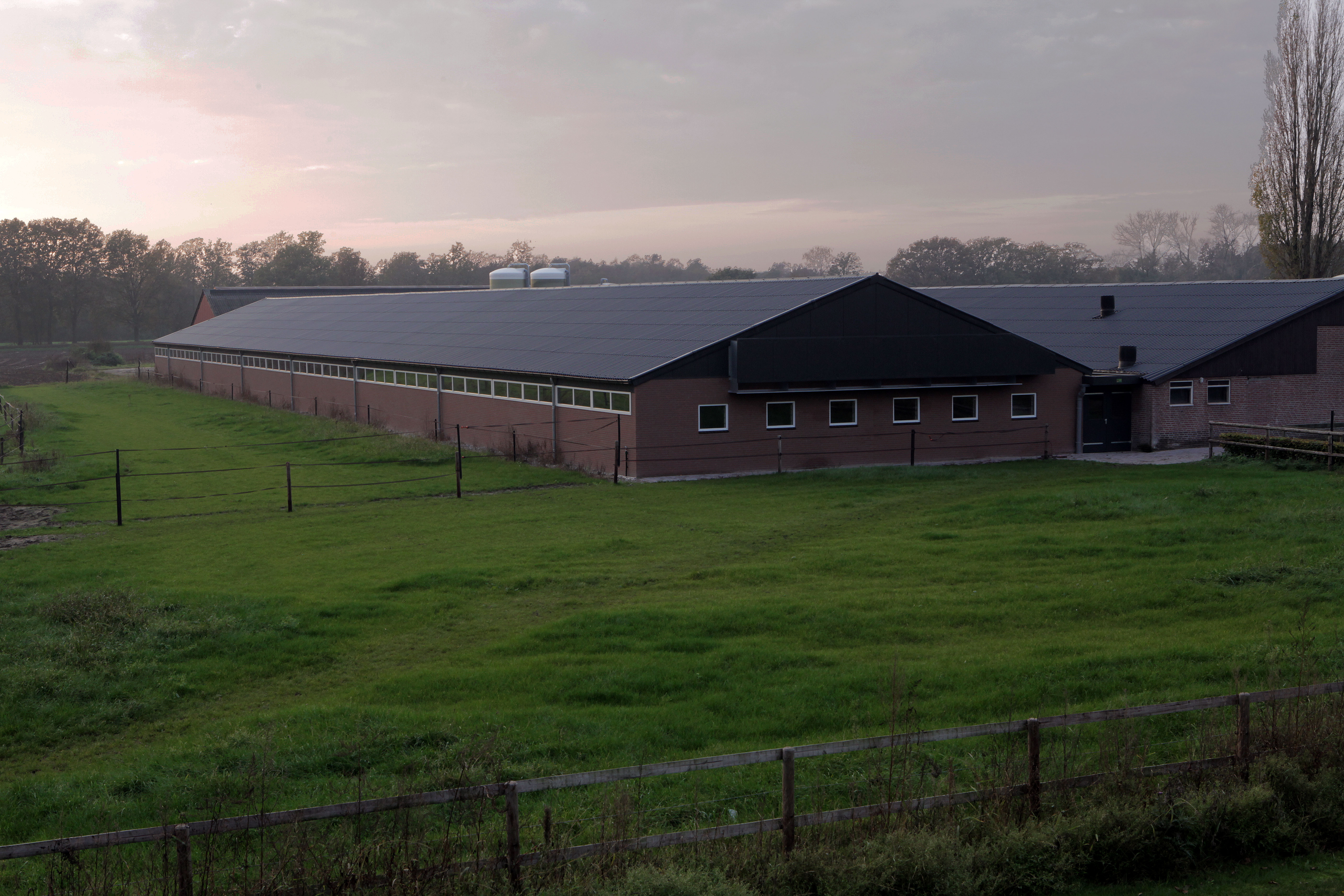 Toekomststal+voor+alle+varkens