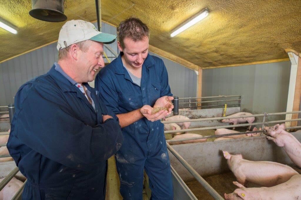 Linthorst en Bessembinder overleggen geregeld over de best aanpak van de voeding van de varkens. Linthorst is als een van de eerst bedrijven gestart met BigFinish 5. 