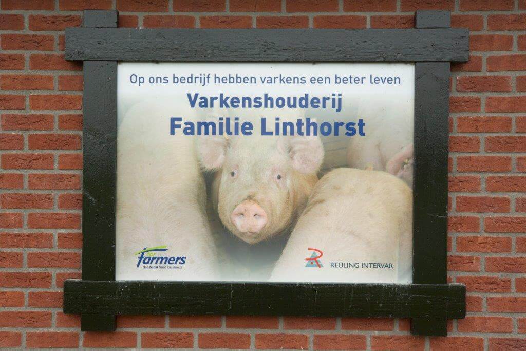 Aan de buitenkant van de stal laat Linthorst aan de voorbijgangers zien dat hier vleesvarkens liggen volgens het Beter Leven concept van Meatfriends. Per 1 januari zullen ze in Nederland worden geslacht. 