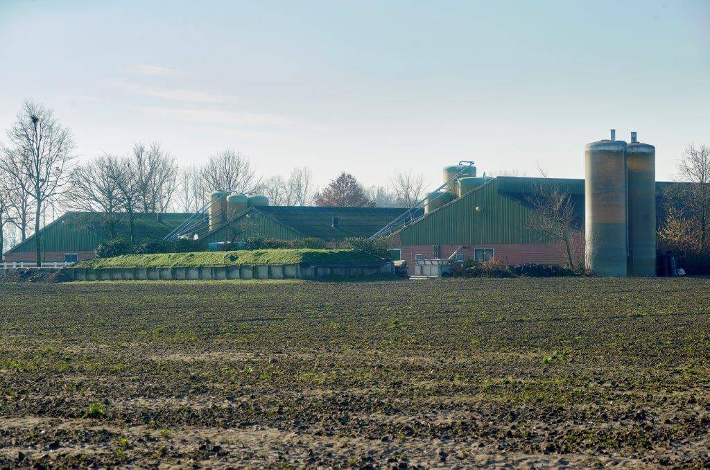 Het bedrijf staat te koop en is nog uit te breiden naar 750 zeugen en 7500 vleesvarkens. 