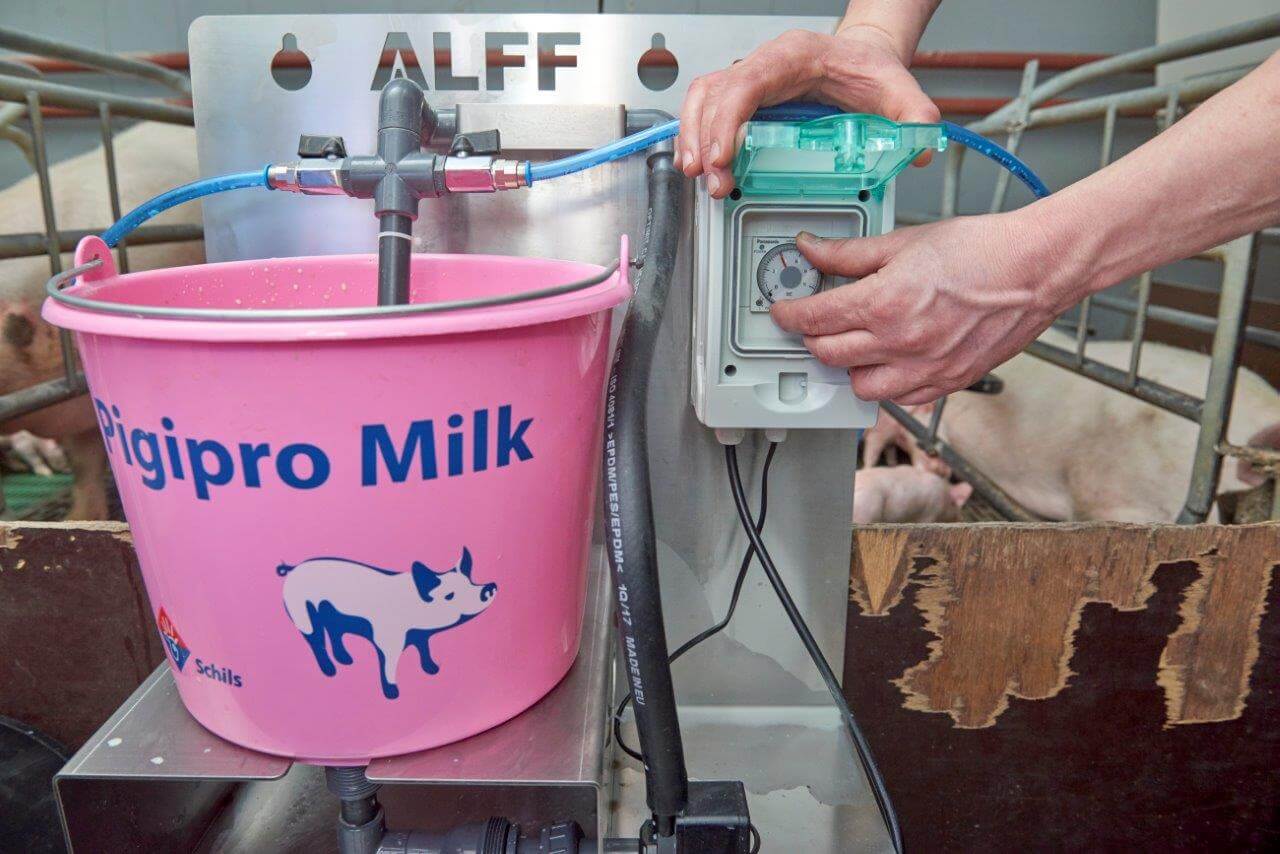 De te doseren hoeveelheid melk per voerbeurt is handmatig in te stellen. Hoe ouder de bigegn worden hoe meer melk per voerbeurt ze krijgen. Bij 3 weken oude biggen gaan er bij twee tomen zeker twee emmers melk per dag in. 