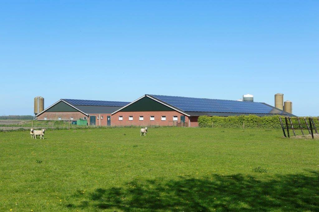 Het bedrijf van Wim Bielderman en Ida Lensink ligt mooi achterop de kavel in Veendam. In Nieuw Weerdinge fokken ze de biggen op. 