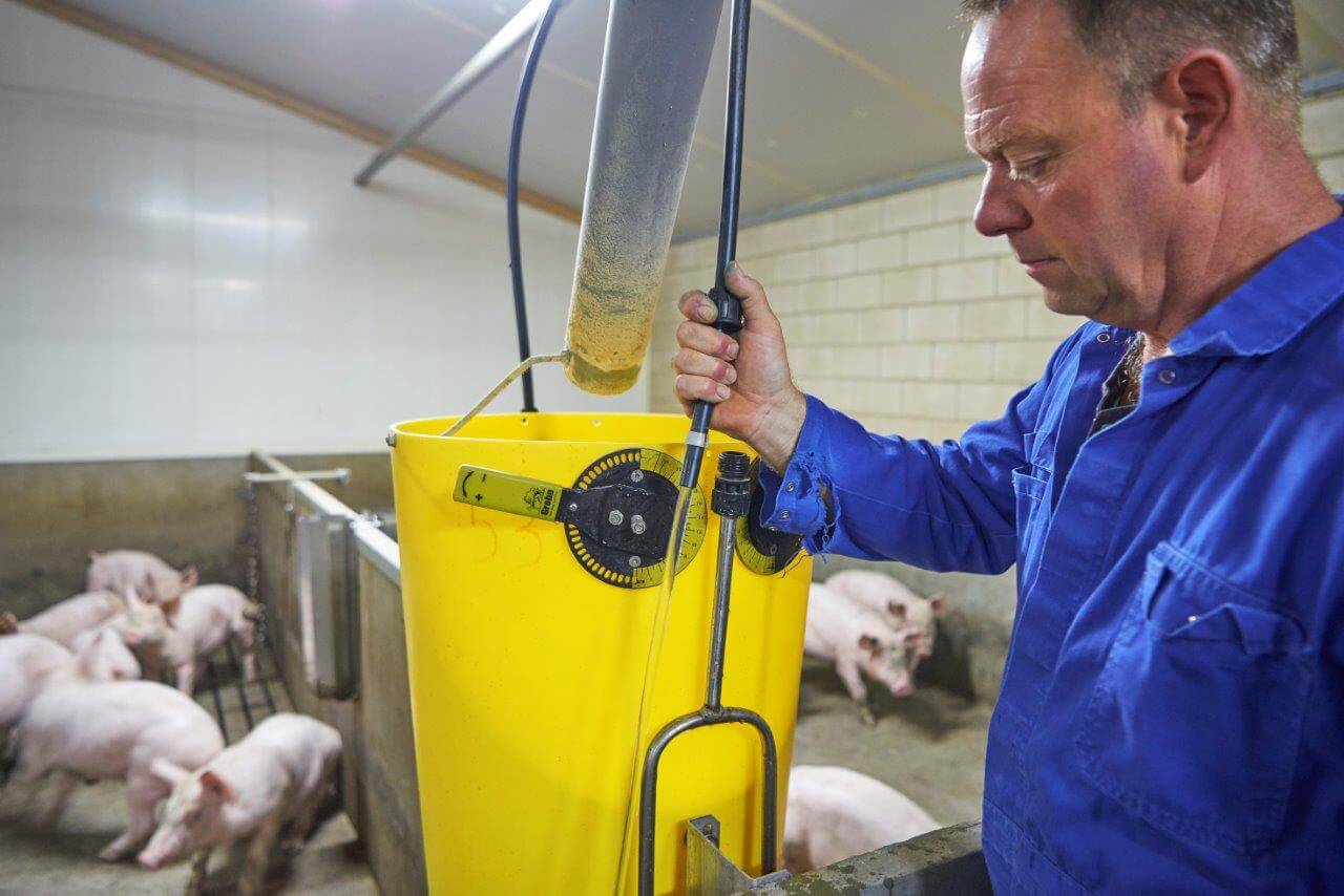 Bij de laatste voerbak in de afdeling maakt Peter de drinkwaterleiding los en wacht totdat het water met vaccin eruitstroomt. 