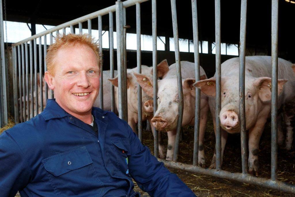 René Schepers kan door het gebruik van maatschepjes de biggen in het kraamhok nauwkeuriger bijvoeren en heeft minder voerverlies. 