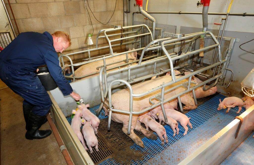 René begint met het bijvoeren van Nurse meel (melkpoeder) met het kleinste schepje. Daarmee geeft hij 25 gram per keer. 