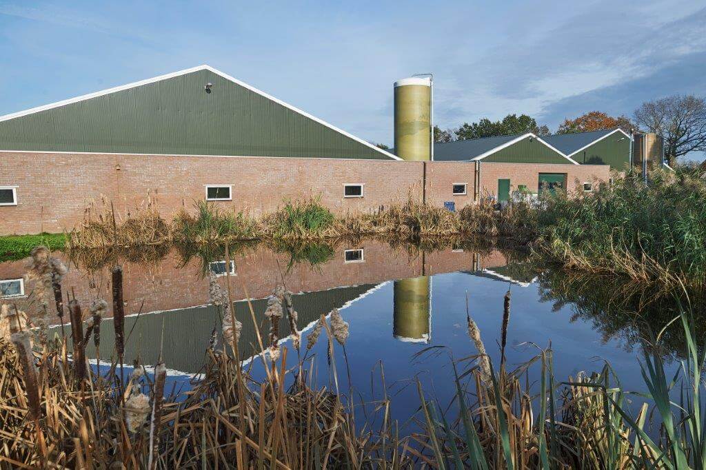 Bij het vleesvarkensbedrijf liggen twee vijvers voor de opvang van regenwater die tevens dienst doen als bluswatervoorzieningen. 