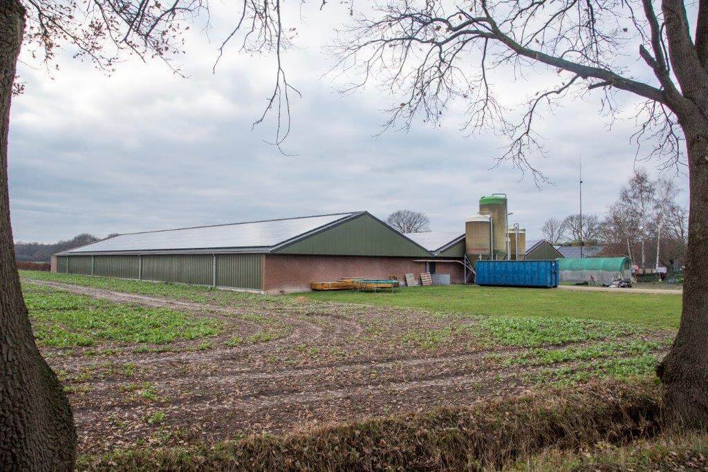 Op de voorgrond de vleesvarkensstallen van het gesloten bedrijf van maatschap Stiphout in Sambeek. 