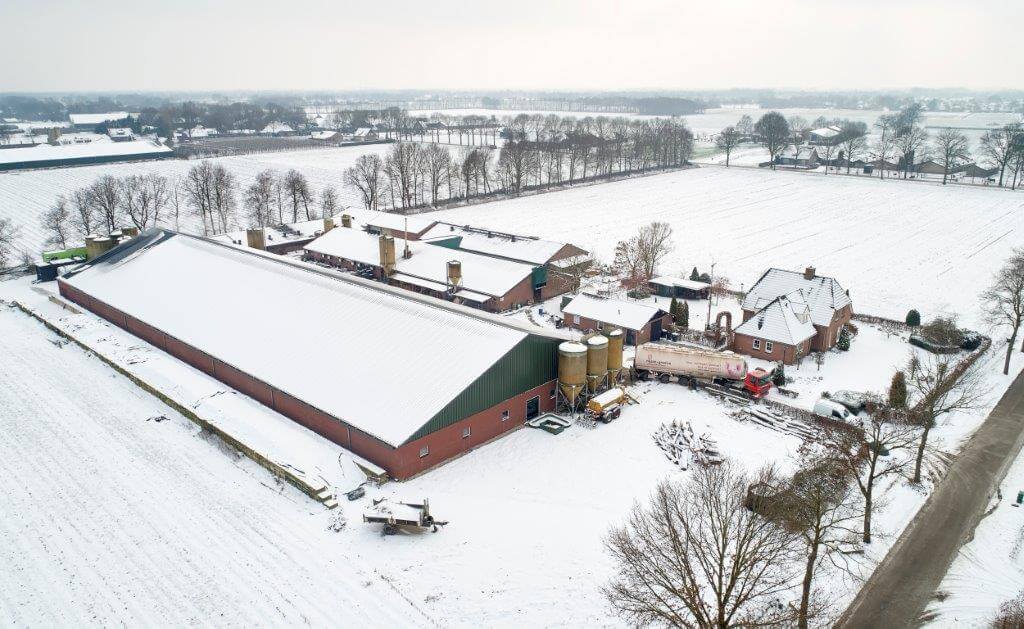 Het bedrijf vanuit de lucht. Op de voorgrond de stal voor de vleesvarkens. Daarachter de stallen voor de zeugen en biggen. Van de middelste stal is het dak vervangen. 