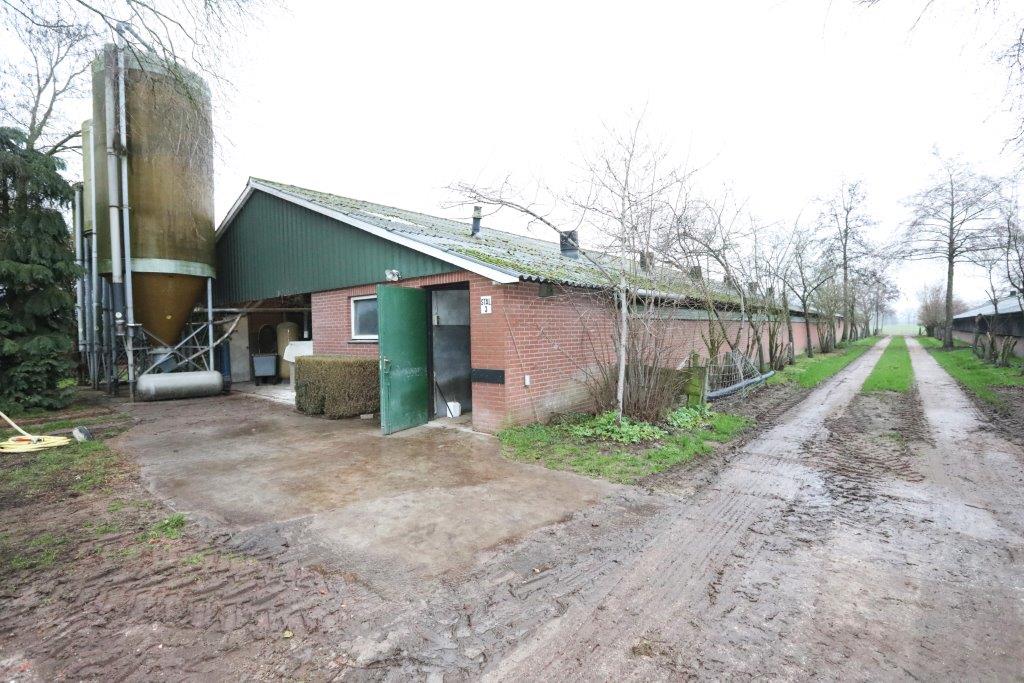 Links de vleesvarkensstal, rechts nog net in beeld de stal voor de vleeskuikens. 