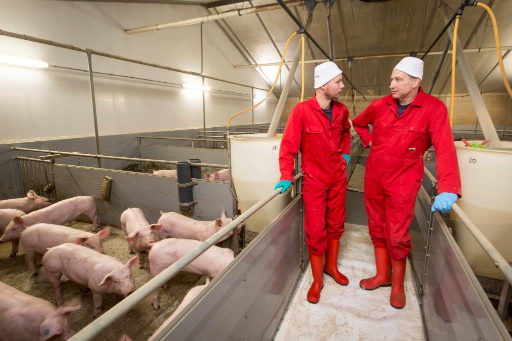 Jeroen Vehof (rechts) en HyCare-coach Arjan Wermink van MS Schippers sparren regelmatig met elkaar om de hygiëne-aanpak telkens naar een hoger plan te tillen. Tussen de dieren werkt dat ook het beste. 