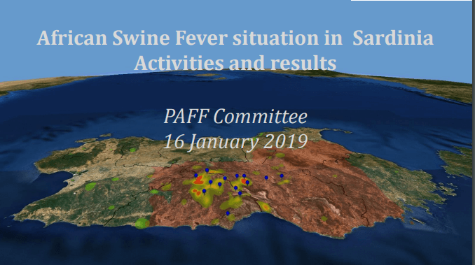 Vooruitgang+bij+Afrikaanse+varkenspest+Sardini%C3%AB