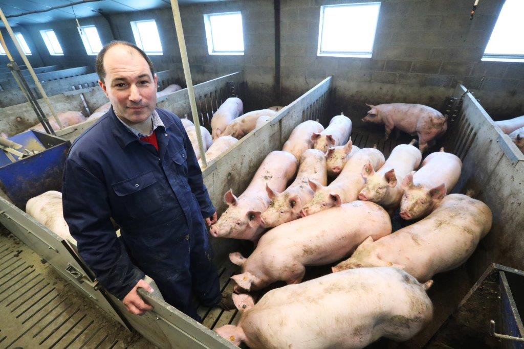 De vleesvarkens groeien prima, maar nog belangrijker dan dat zijn de voerkosten per kilo groei, vindt Gino. 