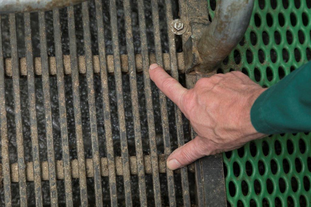 Achter de zeug zitten twee warmwaterbuizen onder het rooster. Die verwarmen het rooster rond de geboorte zodat de biggen niet verkleumen. 