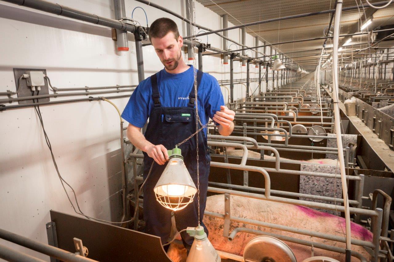 In de kraamstal is de meeste risico op het ontstaan van een stalbrand als gevolg van technische mankementen 