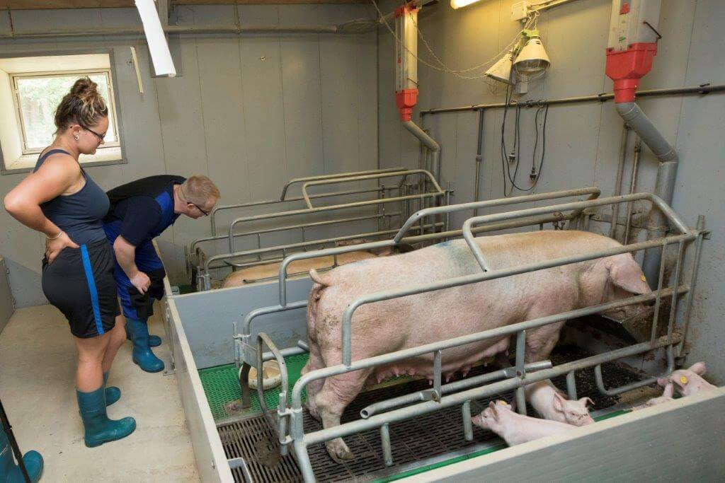 De cursisten gaan eerst zelf een afdeling in om te kijken wat ze opvalt. Ze moeten dan bedenken wat ze zien en wat ze zouden doen. 