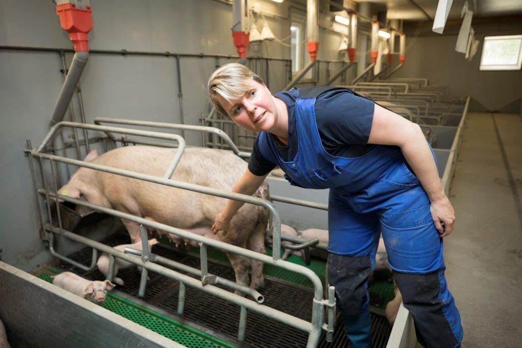 Het beoordelen van de uierkwaliteit is een onderdeel van het lespakket. 