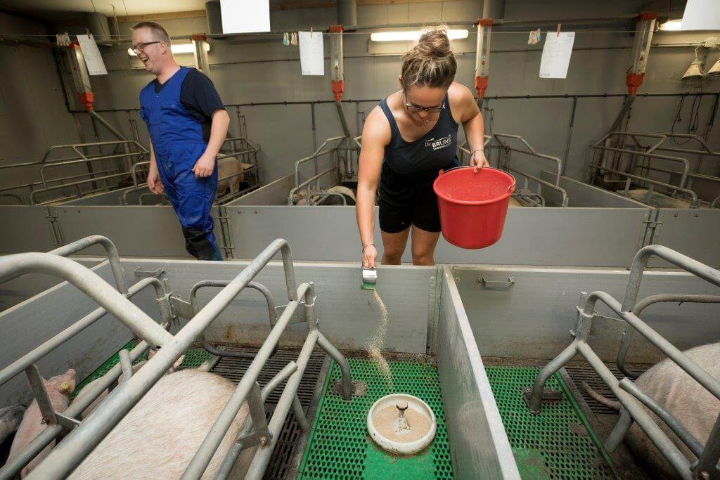 Leren waarom bijvoeren van de biggen nodig is en hoe vaak dat moet is natuurlijk belangrijk. Renske gebruikt een maatschep om de juiste hoeveelheid te doseren. 