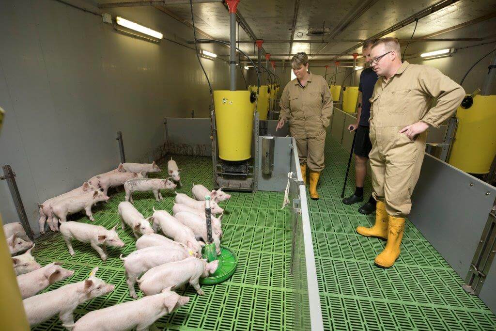 Even wachten en dan is het effect hiervan duidelijk zichtbaar. “Maar het water bijvoeren moet natuurlijk niet te lang doorgaan”, zegt Huijben. 