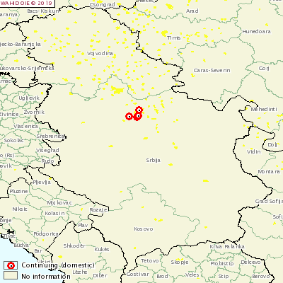 Afrikaanse+varkenspest+bereikt+Servi%C3%AB