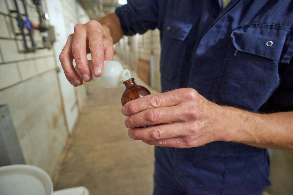 John voegt het speciale oplosmiddel dat de werking van het vaccin versterkt (adjuvans) aan het gedroogde vaccin toe. 