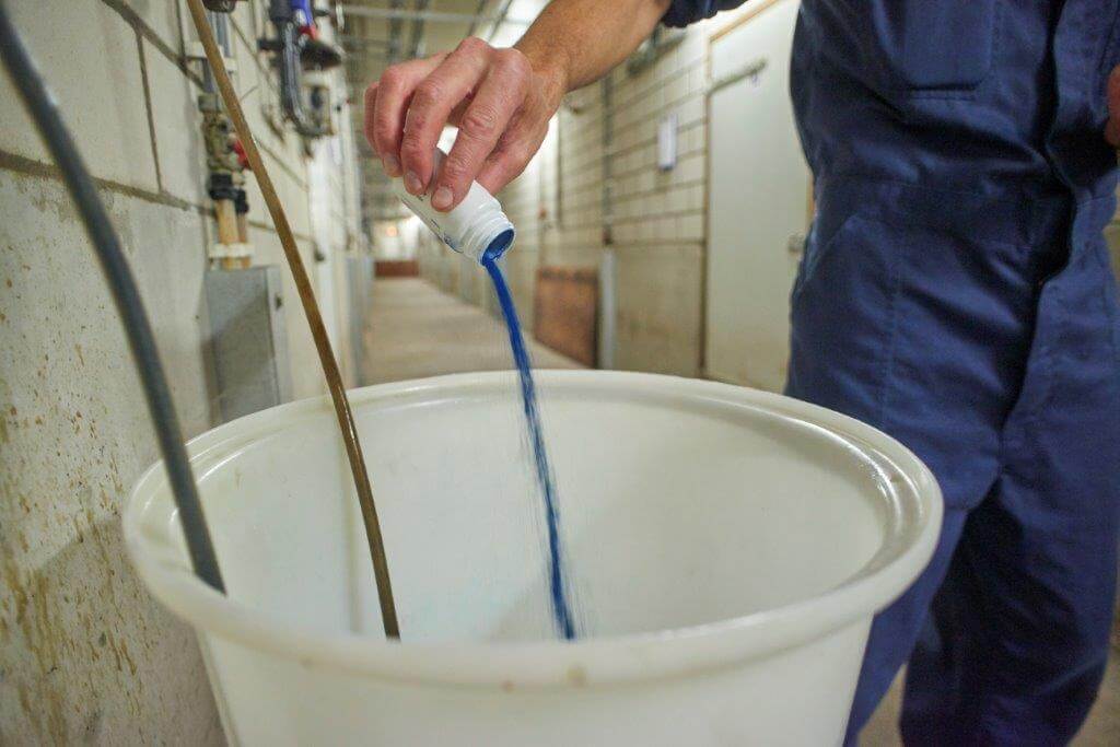 Door de blauwe kleurstof is gemakkelijk te controleren of het vaccin bij elke drinknippel in de afdeling komt. 