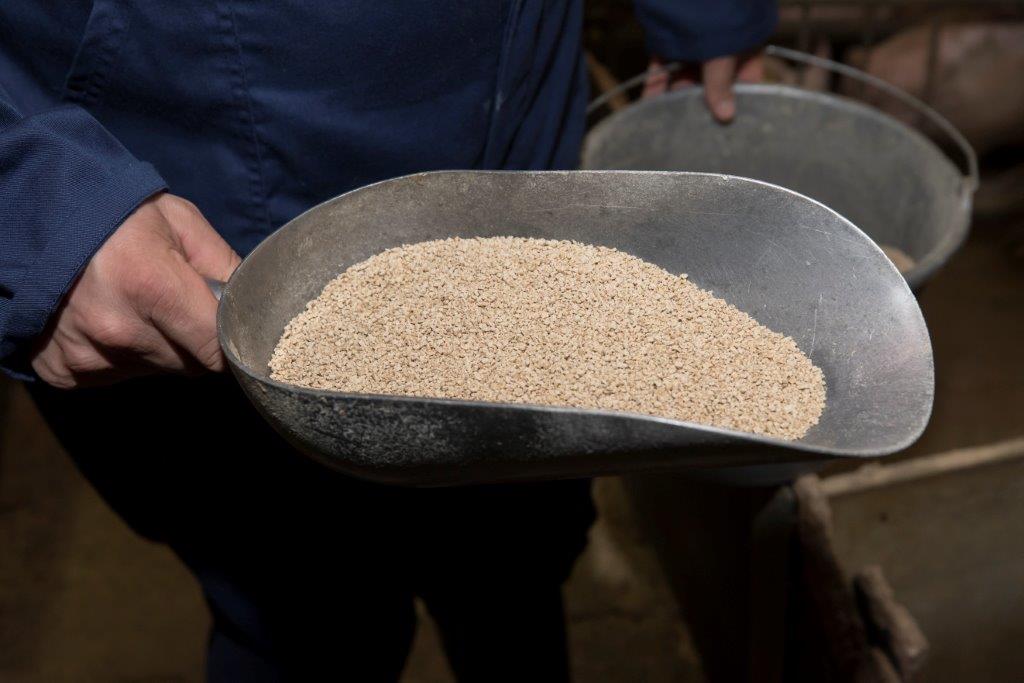 De prestarter verstrekt Kusters gecontroleerd en naar behoefte met de hand. 