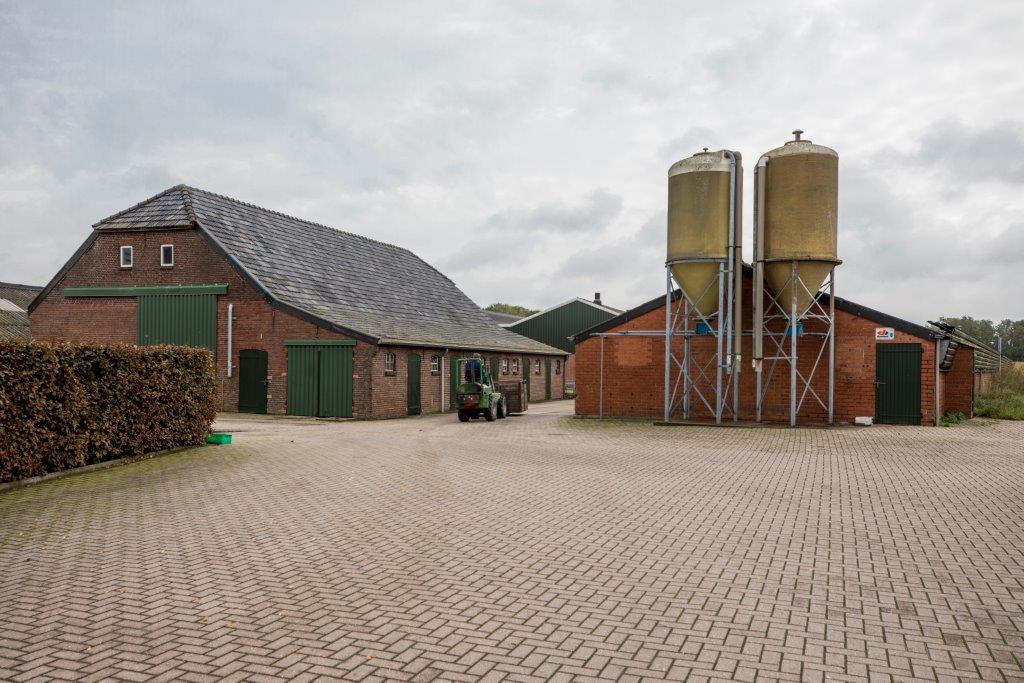 Het erf is onberispelijk, maar de gebouwen zijn verouderd. Daarom hoopt Kusters zijn ontwikkelplannen snel te kunnen realiseren. Biggen en vleesvarkens meer ruimte geven en gaan voor een ster in het Beter Leven-keurmerk. En gaan voor een antibioticavrij leven van zijn varkens in het KDV+-concept. 