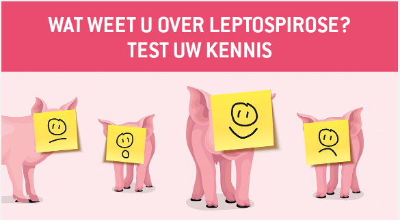 Test+uw+kennis+over+leptospirose+bij+varkens