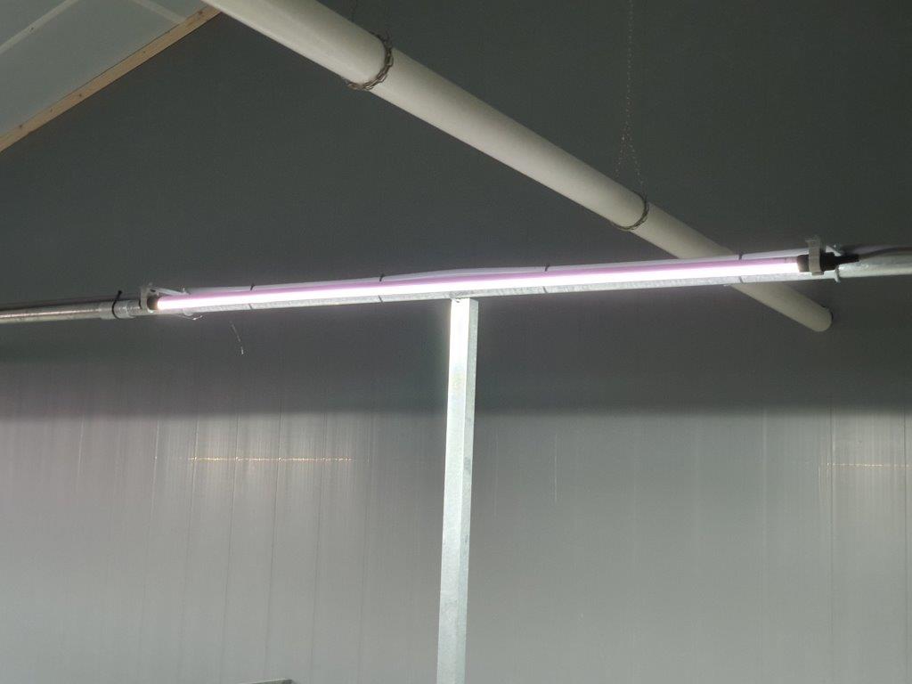 In de hele stal is LED-verlichting in gebruik. 