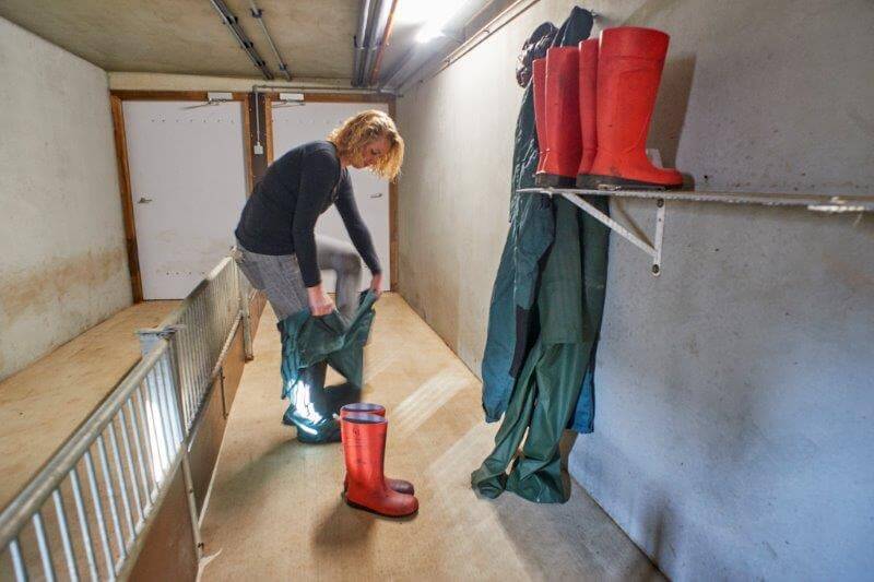 Het verzorgen en controleren van de vleesvarkens is de dagelijkse taak voor Marlies. Bij de verschillende diercateegorieën hanteren ze verschillende kleuren schoeisel. Rood is voor de vleesvarkensstal. Ook doet ze een overalls aan, waarmee ze alleen bij de vleesvarkens komt. 