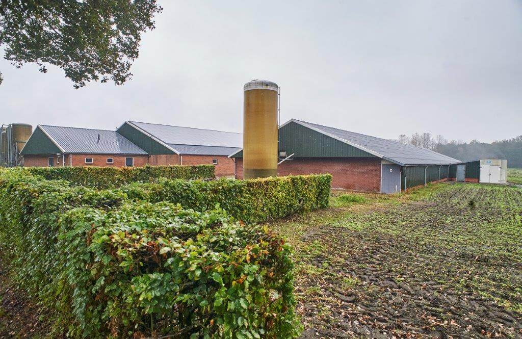 Het spuiwater van de chemische wasser komt in de staande silo terecht. Kuipers: “Een prima meststof voor de bemesting van de aardappelen.” 