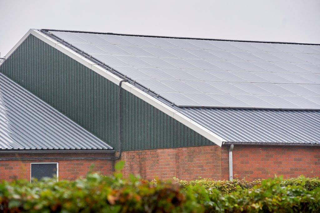 Op de nieuwste vleesvarkensstal lagen al sandwichpanelen. De zonnepanelen zijn voor eigen rekening zonder subsidie op het dak gelegd. Ze produceren net zoveel elektriciteit als het bedrijf in een jaar tijd verbruikt. 