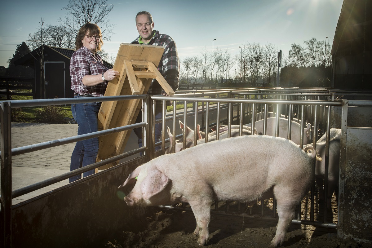 Boerderijeducatie+aanjagen