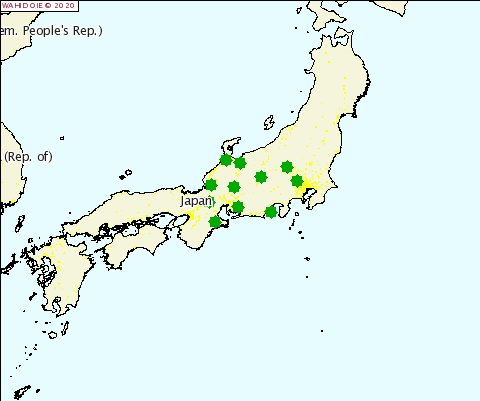 Klassieke+varkenspest+niet+onder+controle+in+Japan