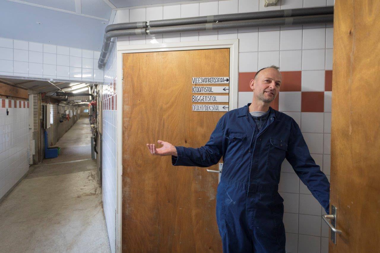 Na grondig douchen en aantrekken van bedrijfskleding mag je het varkensbedrijf van Marco Oostenbrink in. Een bord maakt meteen duidelijk waar welke dieren zijn te zien. 