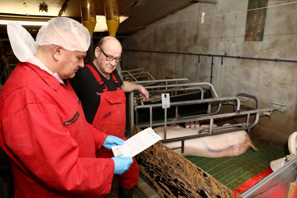 In overleg met varkendierenarts Johan Hulzing heeft Bouwmeester gekozen voor het juiste griepvaccin. De bigvitaliteit is weer prima en het antibioticagebruik nihil. 