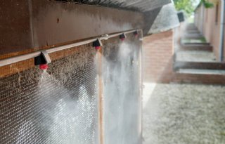 Stapsgewijs+naar+minder+hittestress+bij+varkens