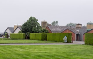 Vrijwillige+stopzettingsregeling+Vlaamse+varkensbedrijven