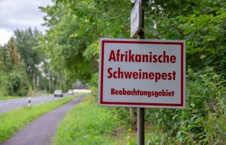 Restricties in grensregio Emsland opgeheven