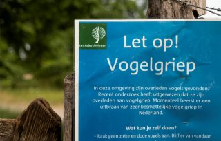 Varkensbedrijven+monitoren+op+vogelgriep