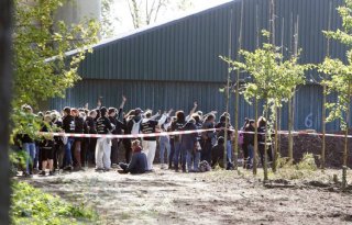 Dierenactivisten+die+varkensstal+bezetten+in+Boxtel+gaan+vrijuit