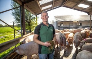 De+Groene+Weg+gaat+voor+lokale+veevoeringredi%C3%ABnten