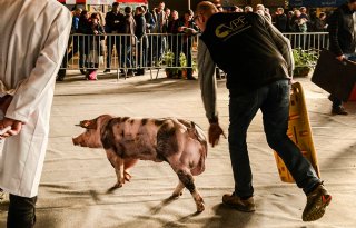 Innovatiedrang+voert+boventoon+tijdens+Agriflanders