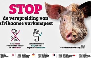 Duidelijkere+waarschuwingsborden+tegen+varkenspest