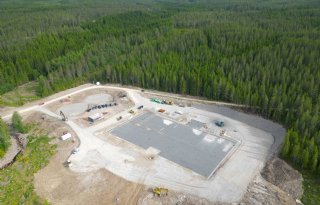 Eerste+beren+aangekomen+op+teststation+Delta+Norway+van+Topigs+Norsvin