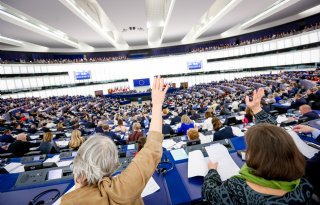 Europarlement+wil+verbod+op+termen+%27veggieburger%27+en+%27sojaworst%27