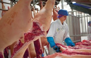 Minder+varkensvlees+vanuit+Europese+Unie+ge%C3%ABxporteerd