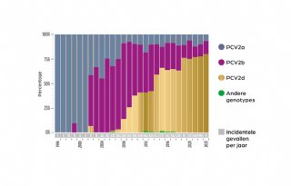 Circosubtype+PCV2d+afgelopen+jaren+nog+dominanter+geworden