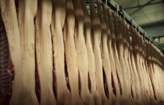Deense export varkensvlees groeit met 7 procent